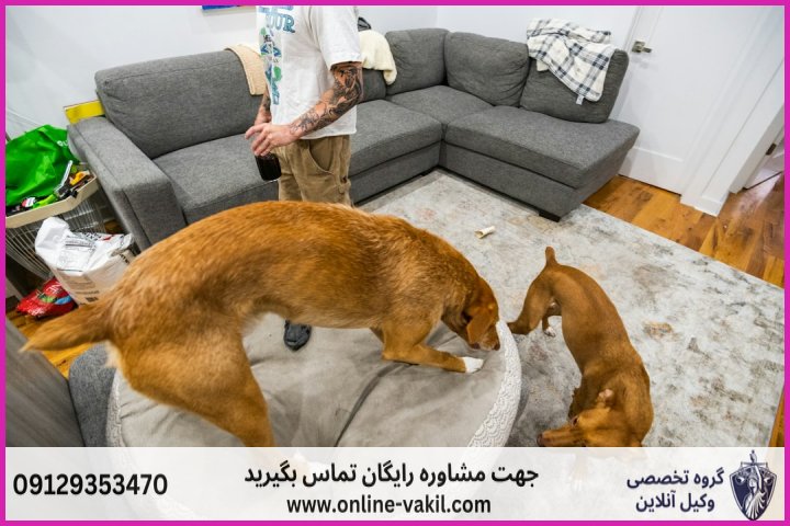 انواع مزاحمت‌های قابل پیگیری قانونی